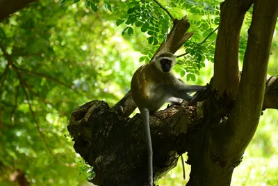 DSC_7864 (Large).JPG